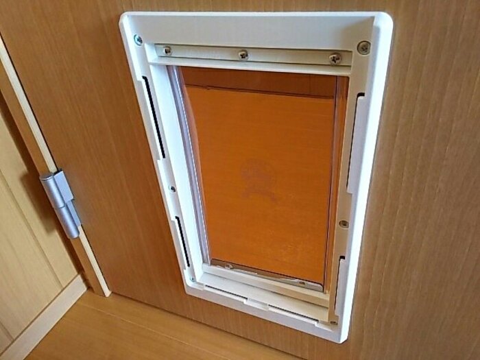 11/21 その他画像