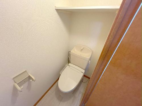 8/14 その他画像