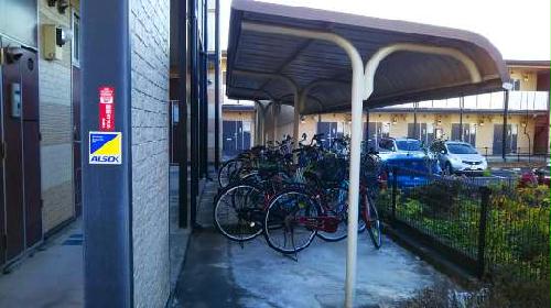 11/20 その他画像