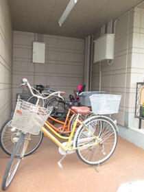 15/16 その他画像