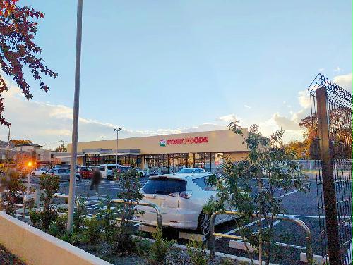 8/13 その他画像