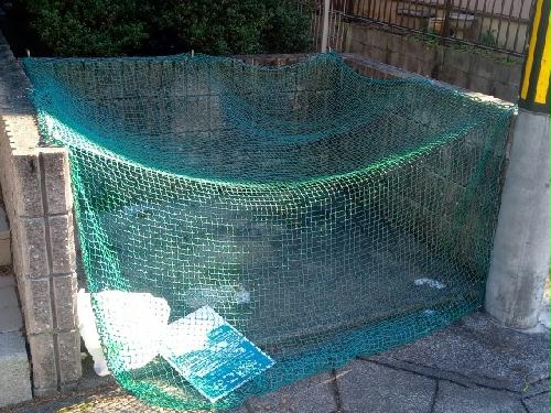 11/14 その他画像