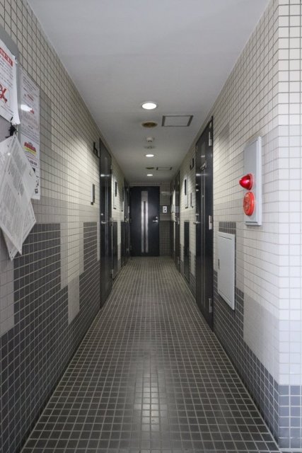 11/13 その他画像