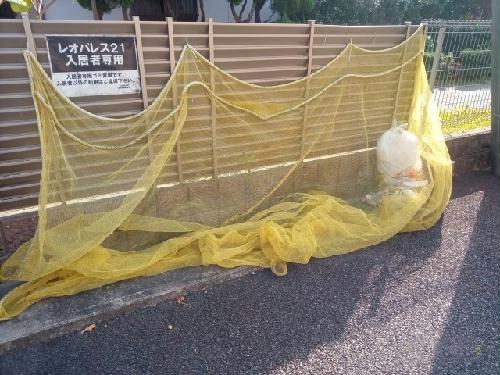 13/21 その他画像