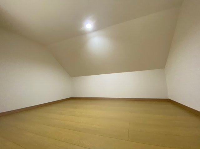 20/29 その他画像