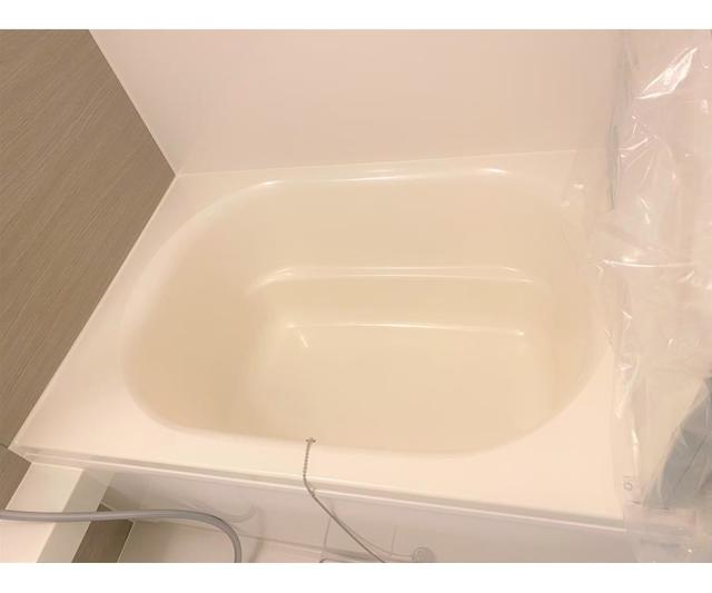 28/28 その他画像