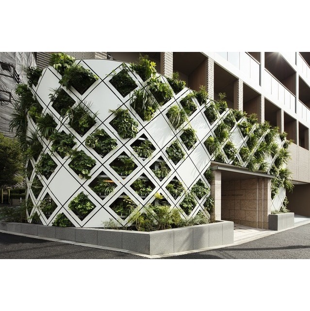 4/5 エントランス