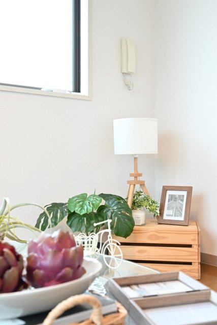 25/28 その他画像