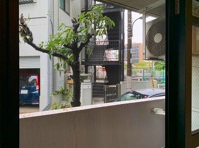 16/23 その他画像