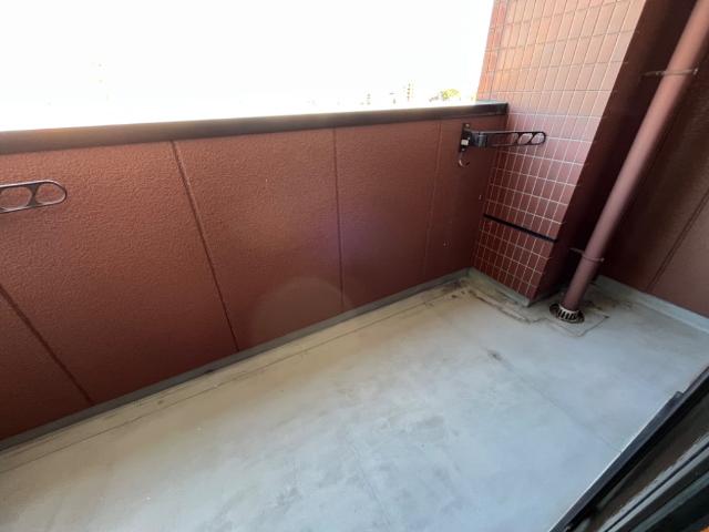 21/24 その他画像