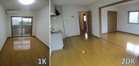 13/22 その他画像