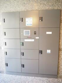 15/16 その他画像