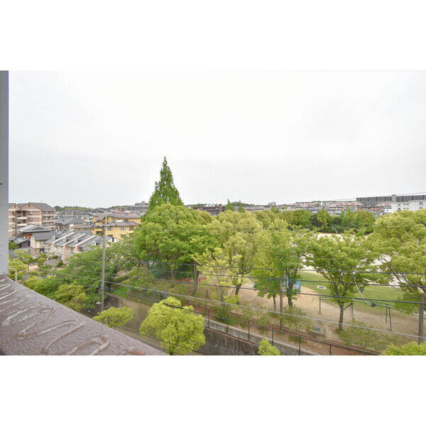 14/14 その他画像