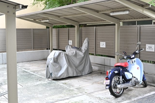 15/29 その他画像