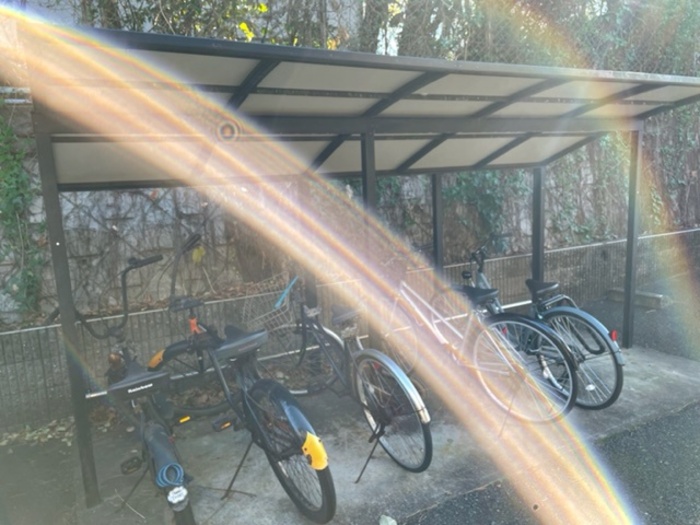 15/19 その他画像