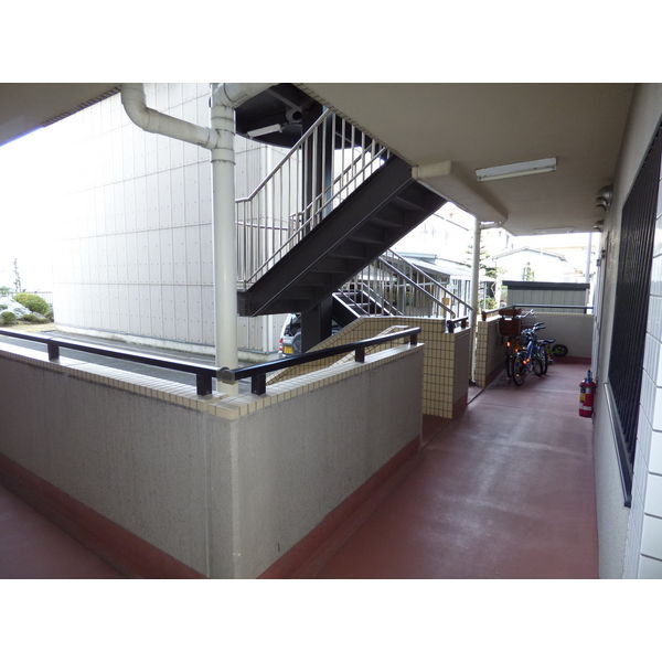 3/13 その他画像