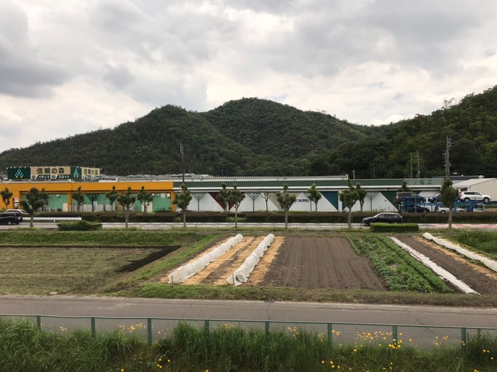 13/19 その他画像