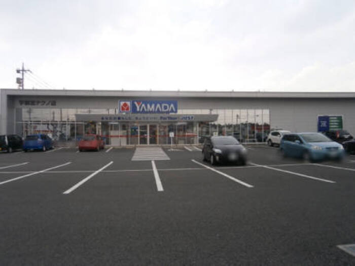 3/17 その他画像