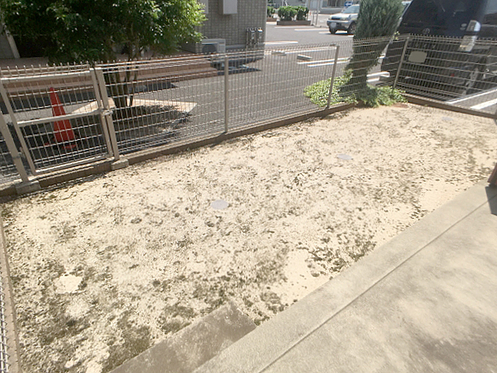 15/26 その他画像