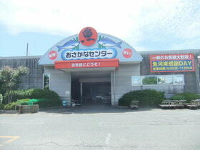 16/18 その他画像