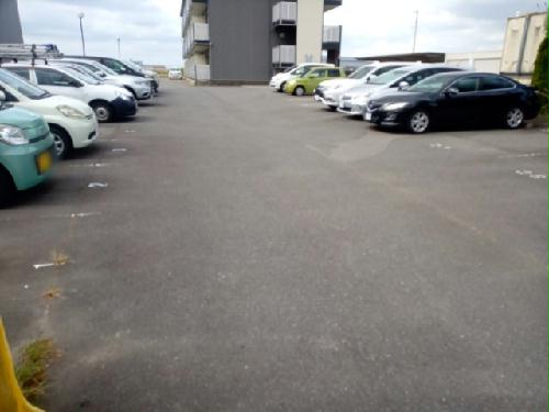 11/24 その他画像