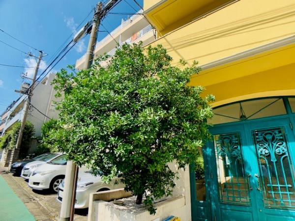 27/29 その他画像