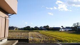 14/19 その他画像