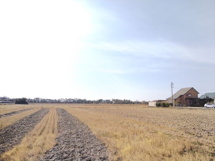 13/21 その他画像