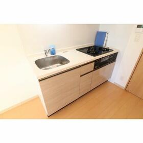 13/16 その他画像