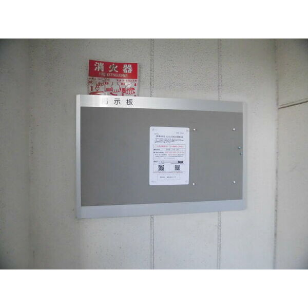 6/14 その他画像