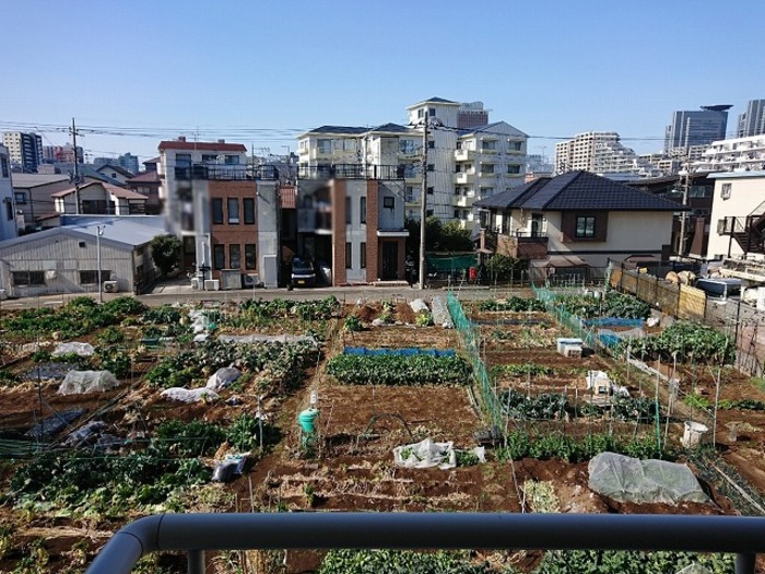 14/24 その他画像