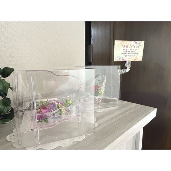 13/22 その他画像