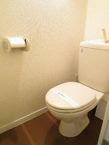 11/14 その他画像