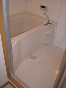 13/16 その他画像