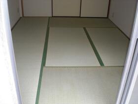 5/16 その他画像