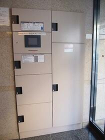 15/16 その他画像