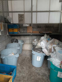 5/15 その他画像