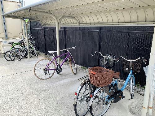 12/19 その他画像