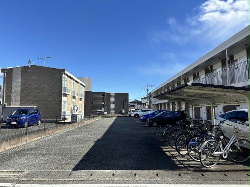 11/17 その他画像