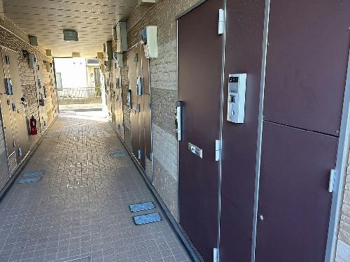 5/11 その他画像