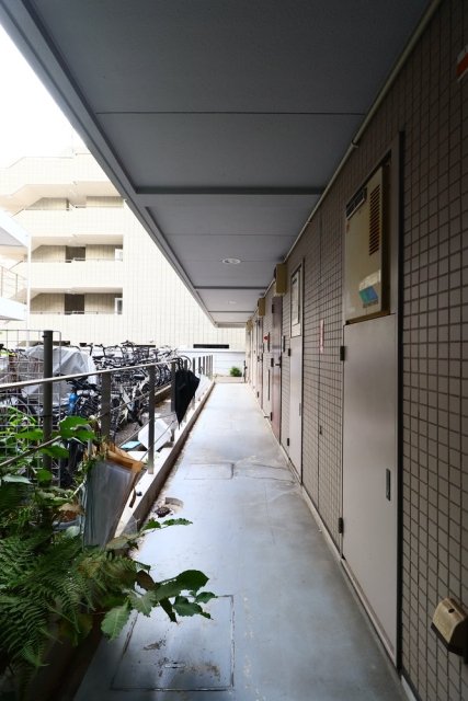 8/22 その他画像