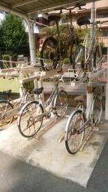 14/14 その他画像