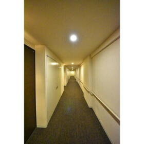 6/16 その他画像