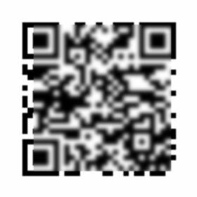 12/12 その他画像