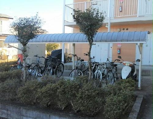 12/14 その他画像