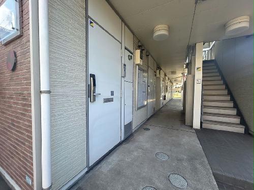 11/14 その他画像