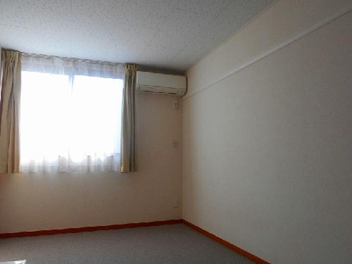 13/13 その他画像