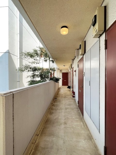 15/17 その他画像