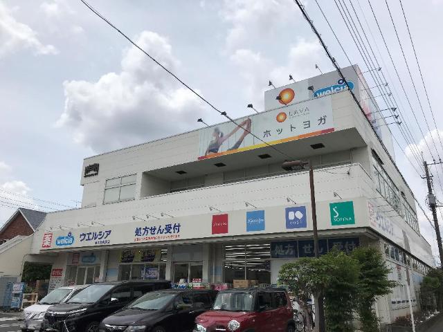 24/29 周辺