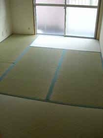 3/16 その他画像